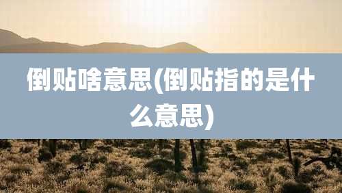 倒贴啥意思(倒贴指的是什么意思)