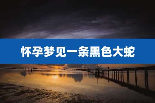 怀孕梦见一条黑色大蛇