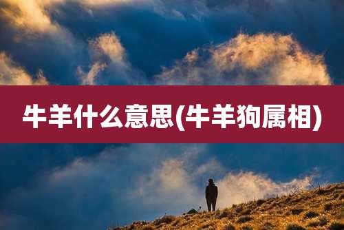 牛羊什么意思(牛羊狗属相)