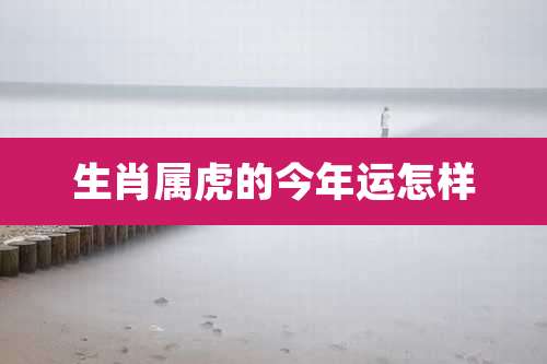 生肖属虎的今年运怎样