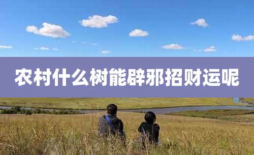 农村什么树能辟邪招财运呢