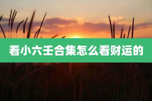 看小六壬合集怎么看财运的