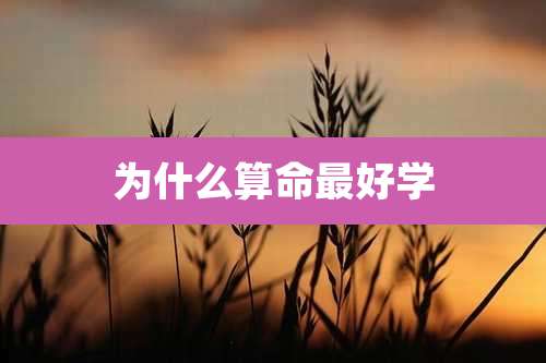 为什么算命最好学