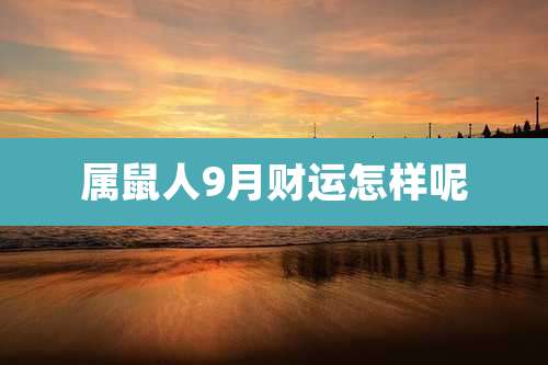 属鼠人9月财运怎样呢