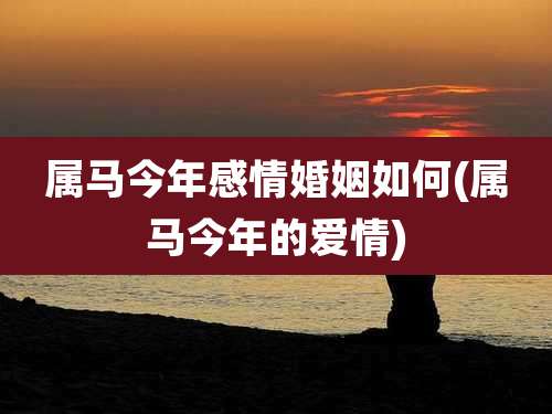 属马今年感情婚姻如何(属马今年的爱情)