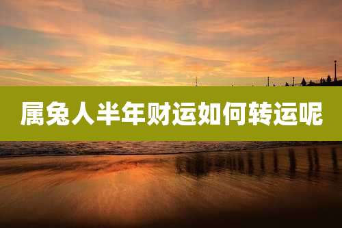 属兔人半年财运如何转运呢
