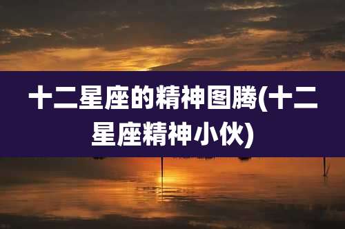 十二星座的精神图腾(十二星座精神小伙)