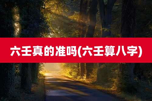 六壬真的准吗(六壬算八字)