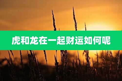 虎和龙在一起财运如何呢