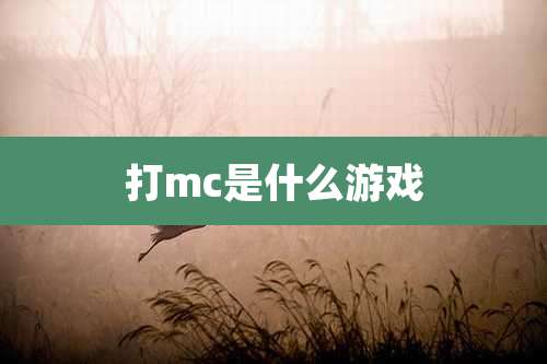 打mc是什么游戏