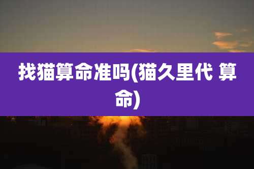 找猫算命准吗(猫久里代 算命)