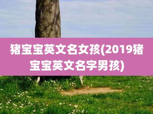 猪宝宝英文名女孩(2019猪宝宝英文名字男孩)
