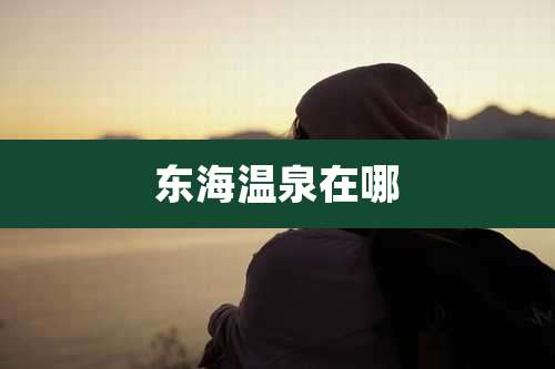 东海温泉在哪