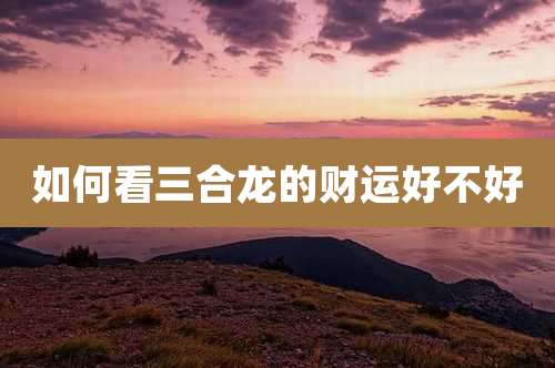 如何看三合龙的财运好不好