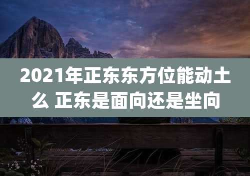 2021年正东东方位能动土么 正东是面向还是坐向