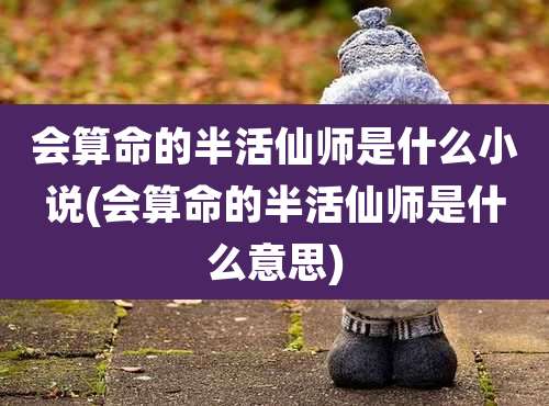 会算命的半活仙师是什么小说(会算命的半活仙师是什么意思)