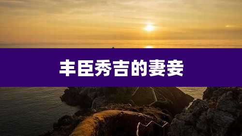 丰臣秀吉的妻妾