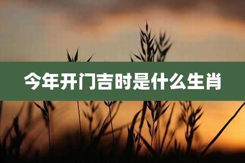 今年开门吉时是什么生肖