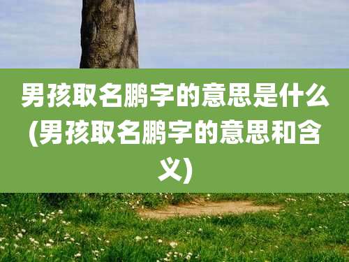 男孩取名鹏字的意思是什么(男孩取名鹏字的意思和含义)