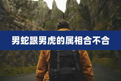 男蛇跟男虎的属相合不合