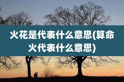 火花是代表什么意思(算命火代表什么意思)