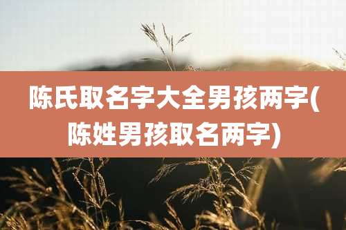 陈氏取名字大全男孩两字(陈姓男孩取名两字)