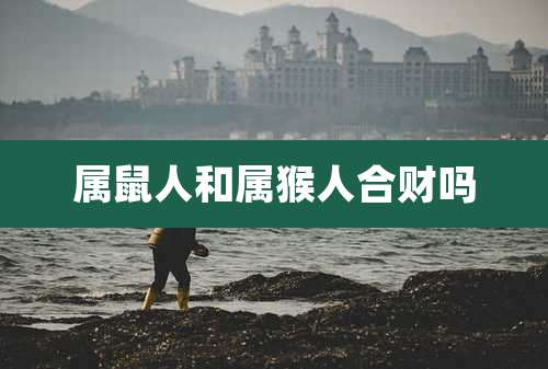 属鼠人和属猴人合财吗