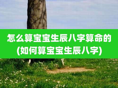 怎么算宝宝生辰八字算命的(如何算宝宝生辰八字)