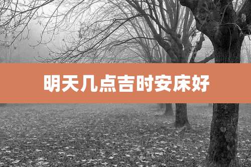 明天几点吉时安床好