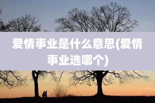 爱情事业是什么意思(爱情事业选哪个)