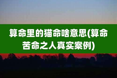 算命里的猫命啥意思(算命苦命之人真实案例)