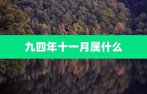 九四年十一月属什么
