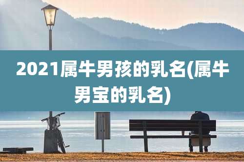 2021属牛男孩的乳名(属牛男宝的乳名)