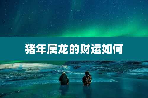 猪年属龙的财运如何