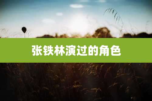 张铁林演过的角色