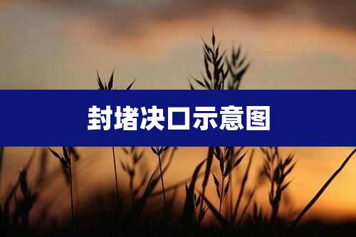 封堵决口示意图