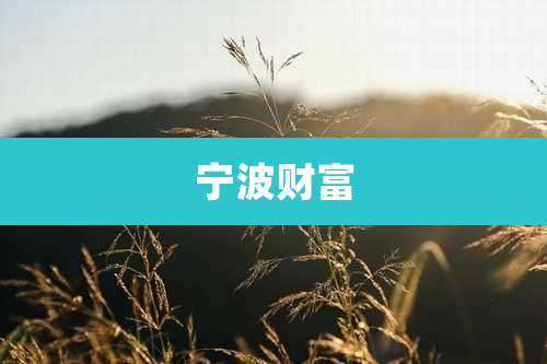 宁波财富