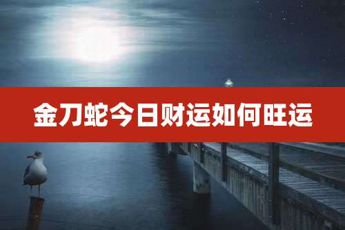 金刀蛇今日财运如何旺运