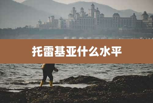 托雷基亚什么水平