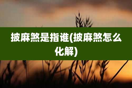 披麻煞是指谁(披麻煞怎么化解)