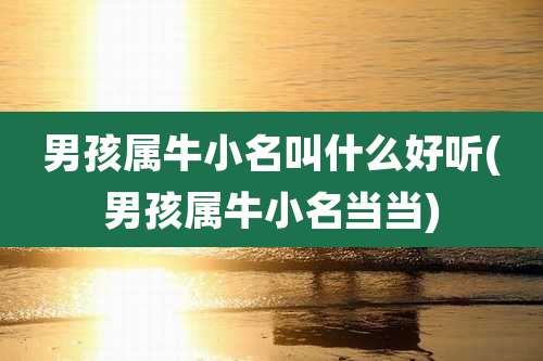 男孩属牛小名叫什么好听(男孩属牛小名当当)