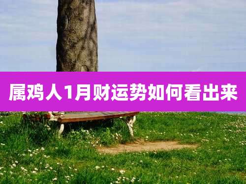 属鸡人1月财运势如何看出来