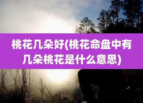 桃花几朵好(桃花命盘中有几朵桃花是什么意思)