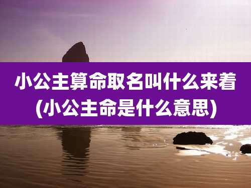 小公主算命取名叫什么来着(小公主命是什么意思)