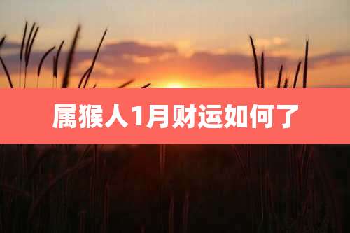 属猴人1月财运如何了