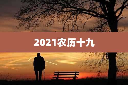 2021农历十九