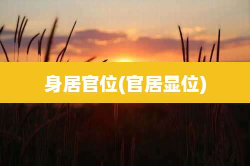 身居官位(官居显位)