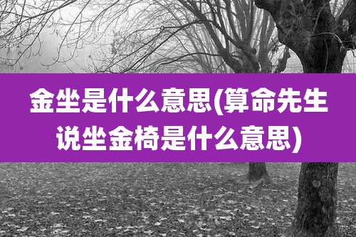 金坐是什么意思(算命先生说坐金椅是什么意思)