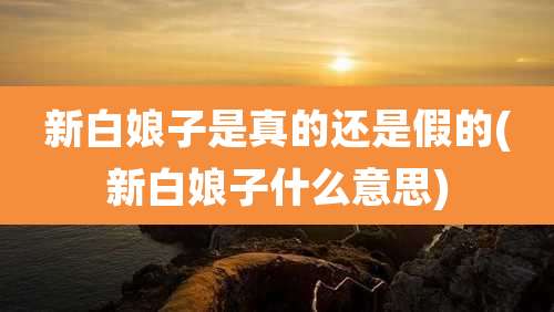 新白娘子是真的还是假的(新白娘子什么意思)