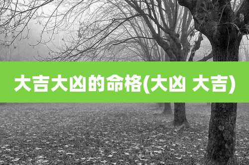 大吉大凶的命格(大凶 大吉)